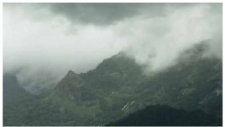 ബഫര്‍സോണ്‍: വിവര ശേഖരണത്തിന് ഉപഗ്രഹ സര്‍വേയ്ക്ക് പുറമേ നേരിട്ടുള്ള പരിശോധനയും