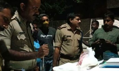 അരക്കിലോ എംഡിഎംഎ യുമായി  മുഖ്യ കണ്ണിയായ യുവാവ് അറസ്റ്റിൽ