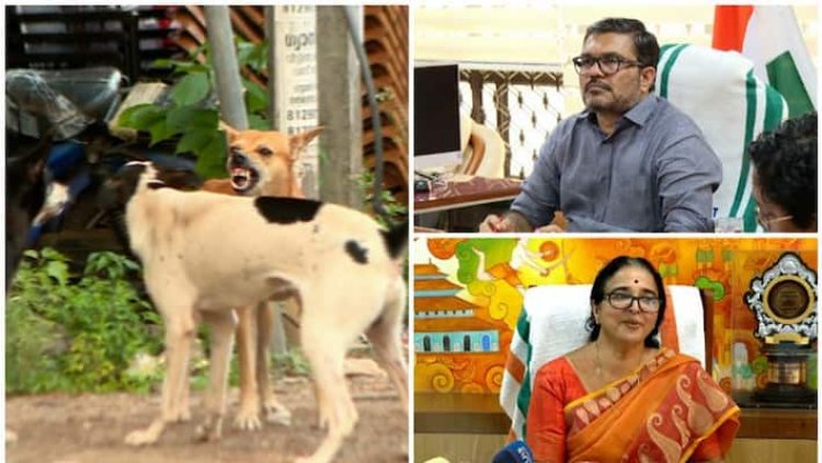 തെരുവുനായ്ക്കളെ കൊല്ലരുത് :കോഴിക്കോട് മേയർ