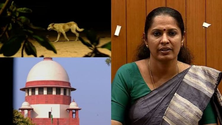തെരുവുനായ ശല്യം:  കണ്ണൂർ ജില്ലാ പഞ്ചായത്ത് സുപ്രീംകോടതിയിലെ കേസിൽ കക്ഷി ചേരും