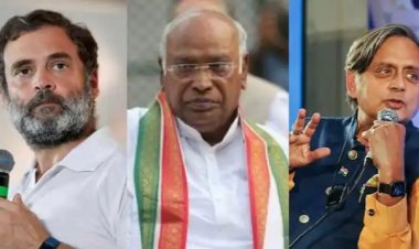 ശശി തരൂർ കോൺഗ്രസ് പ്രവർത്തക സമിതിയിലേക്ക് ?