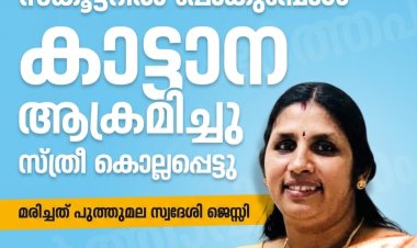 വീണ്ടും കാട്ടാന ആക്രമണം, മേപ്പാടിയിൽ സ്കൂട്ടറിൽ പോയവരെ കാട്ടാന ആക്രമിച്ചു, സ്ത്രീ കൊല്ലപ്പെട്ടു .