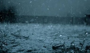 സംസ്ഥാനത്ത് കാലവർഷം തീവ്രമാകുന്നു; ഇന്ന് മൂന്ന് ജില്ലകളിൽ റെഡ് അലേർട്ട്; സ്കൂളുകൾക്ക് അവധി പ്രഖ്യാപിച്ച് കളക്ടർമാർ